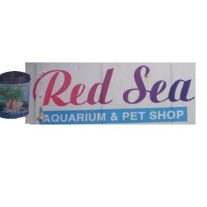 Red Sea Aquarium & Pet shop Alappuzha Kerala India