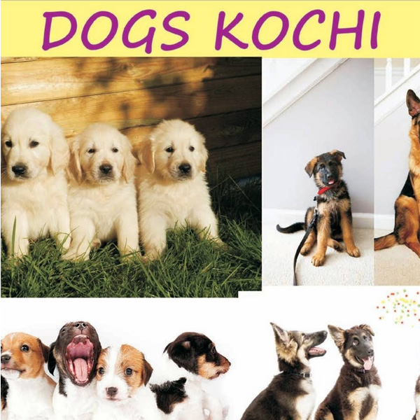 Dogs Kochi Kaloor Ernakulam Kerala India- Pet Shops