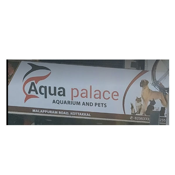 Aqua Palace Aquarium Malappuram Kerala India