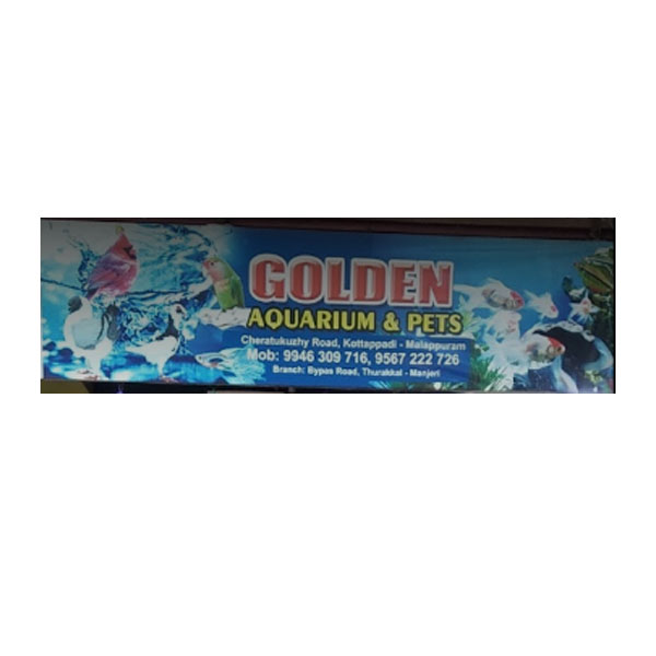 Golden Aquarium and Pets Malappuram Kerala India