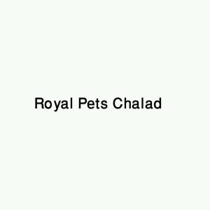 Royal Pets Chalad Kannur Kerala India