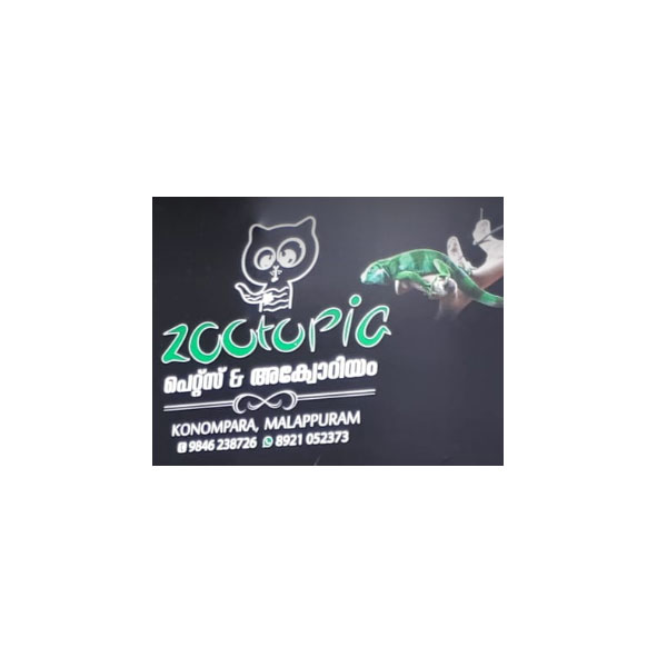 Zootopia Pets and Aquarium Malappuram Kerala India