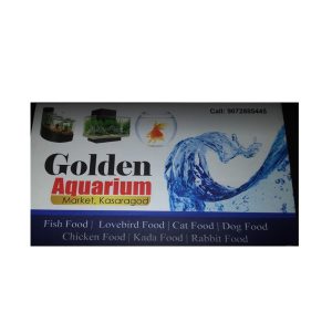 Golden Aquarium Kasaragod Kerala India