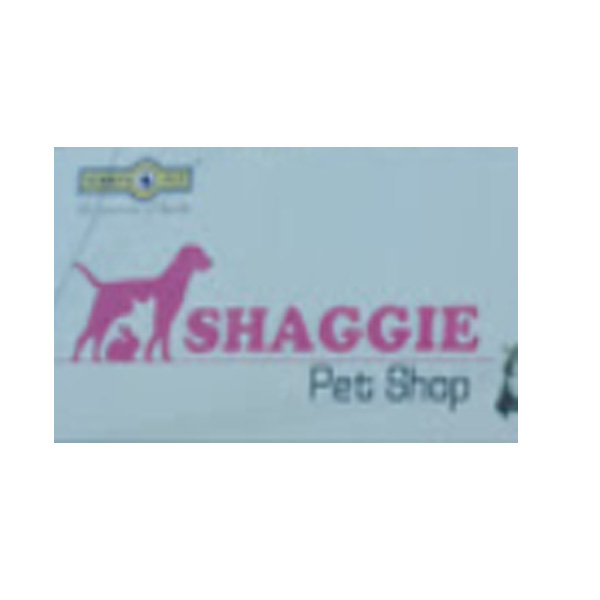 Shaggie Pet Shop Chennai Tamil Nadu India