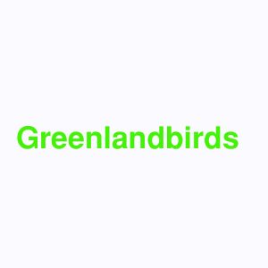 Greenlandbirds Dharmapuri Tamil Nadu India