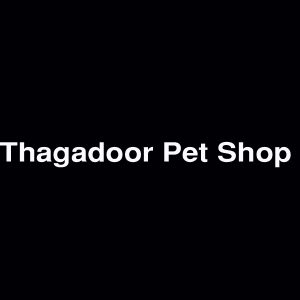 Thagadoor Pet Shop Dharmpuri Tamil Nadu India