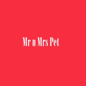 Mr n Mrs Pet Jaipur Rajasthan India