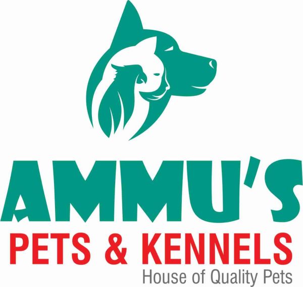 Ammu Pets and Kennels Hyderabad Telangana India