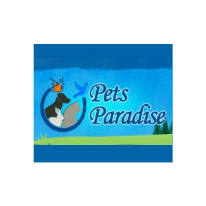 Pets Paradise Jalandhar Punjab India