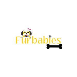 Fur Babies Hub Jaipur Rajasthan India