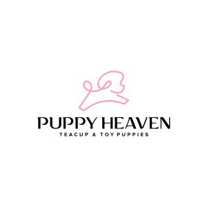 Puppy Heaven Las Vegas Nevada USA