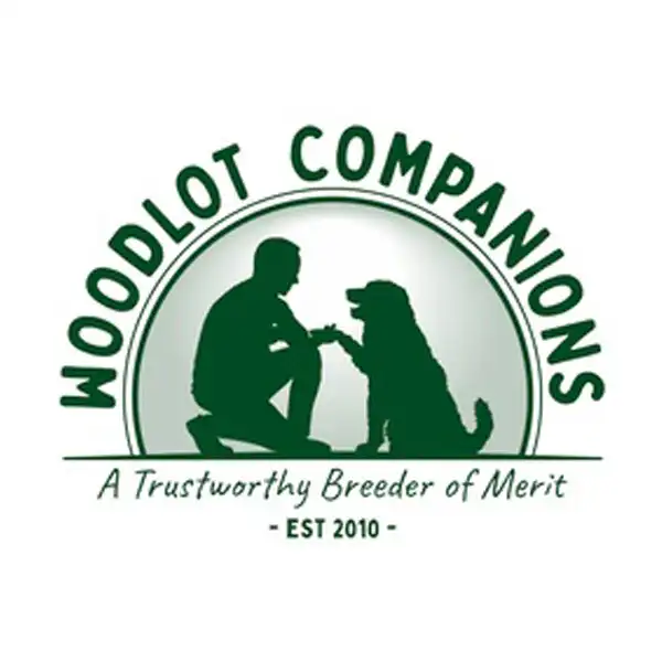 Woodlot Companions Millersburg Ohio USA